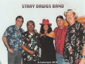 Blues Jam w/ Carolyn Davis & The Stray Dawgs OLD 11-2-14