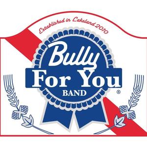 Bully For You