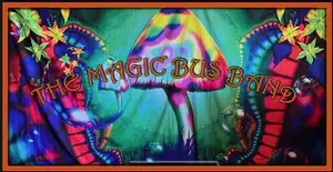 Magic Bus - South Florida