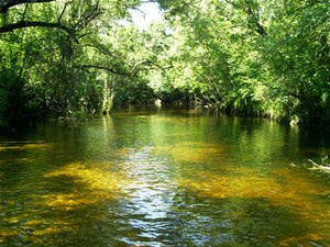 Canoe Outpost - Wimauma