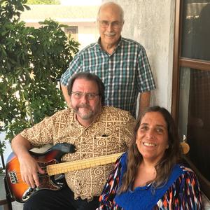 Sandy Vogel Trio