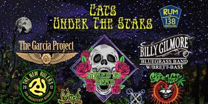 Cats Under The Stars Festival