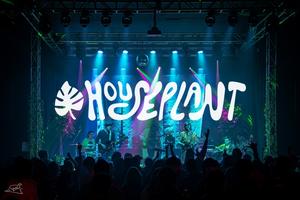 Houseplant