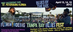 Tampa Bay Blues Fest INVALID VENUE