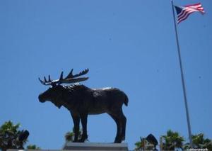 Anna Maria Moose Lodge #2188