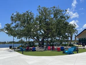 Heritage Tree at Wellen Park