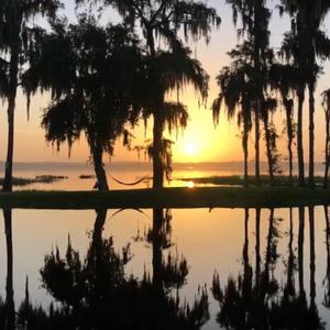 Cypress Cove Marina & Resort