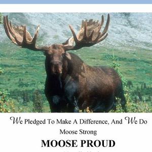 Sebring Florida Moose Lodge 2259